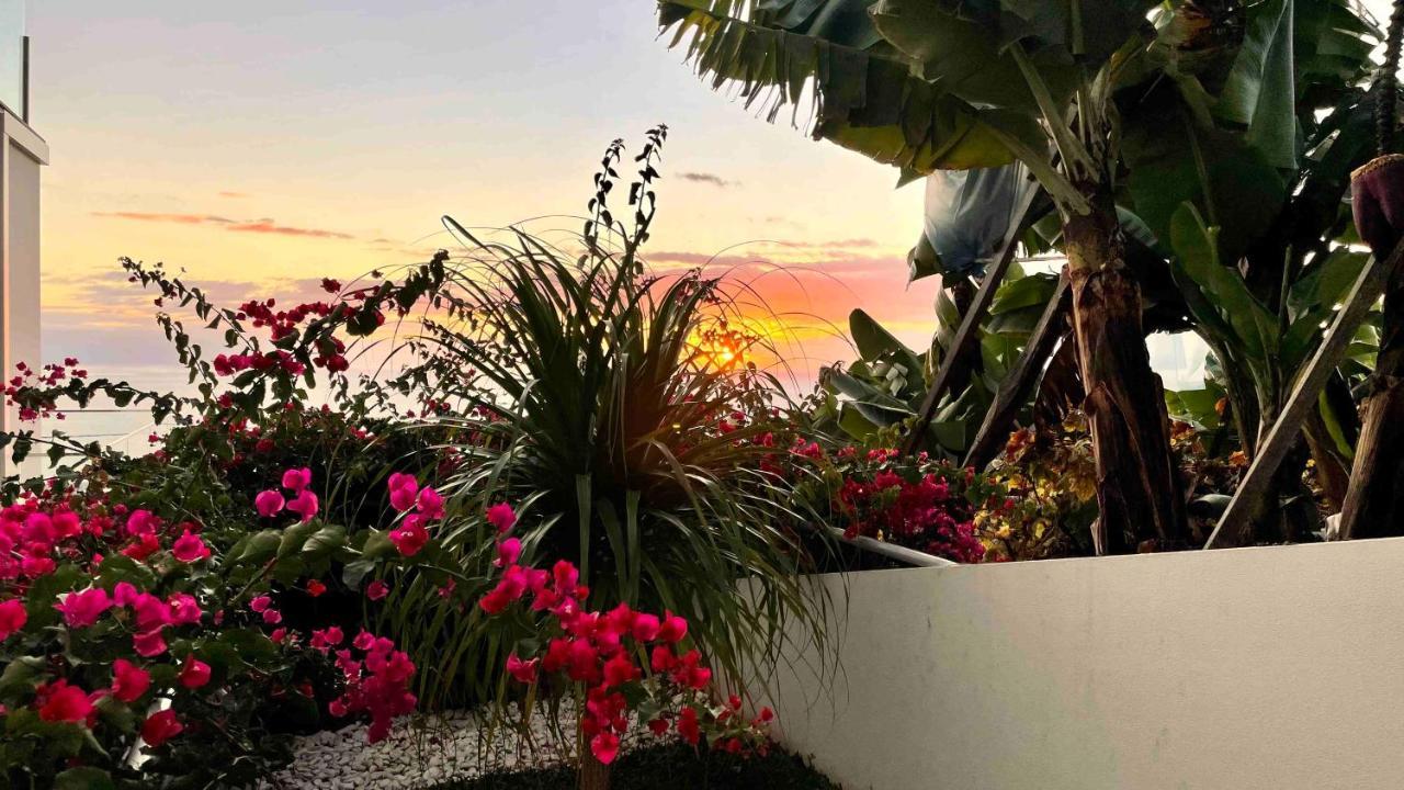 Holiday Apartment Sunset Ocean Ribeira Brava Eksteriør bilde